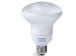 Energetic EnergyStar 15 W R-30 Reflector / Flood Screw In 5000K  