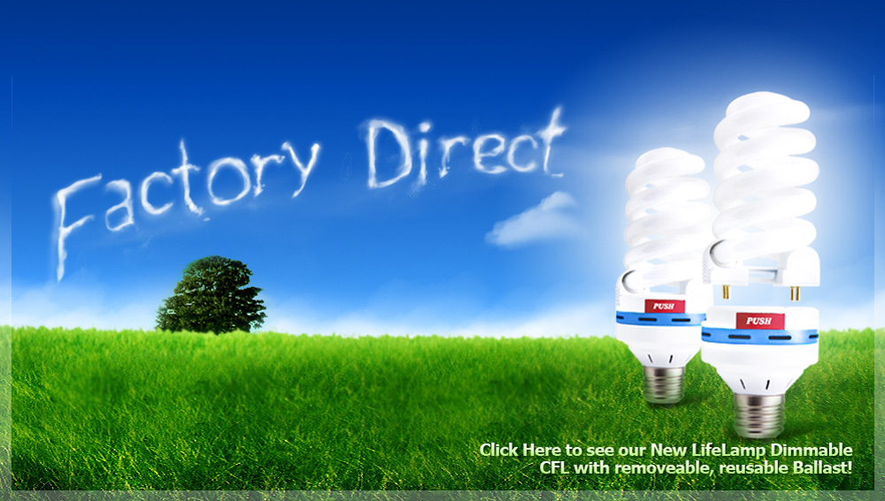 energy efficiency bulbs. Energy efficient lighting